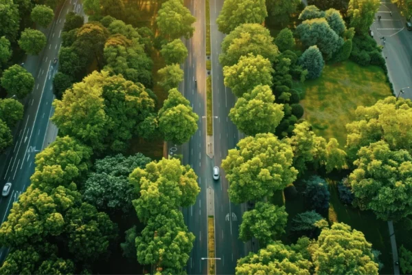 recebi_um_auto_de_infra_o_ambiental_tenho_que_pagar_
